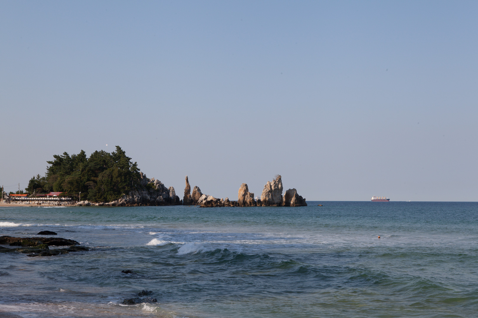 IMG_5406.jpg